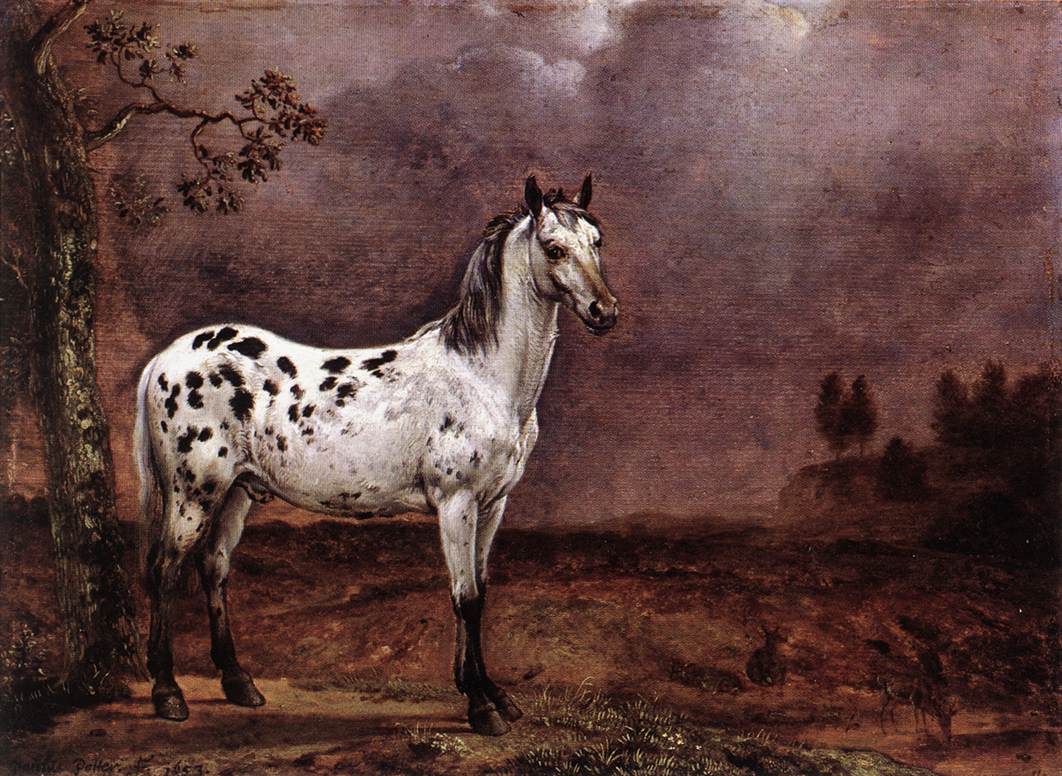 The Spotted Horse af